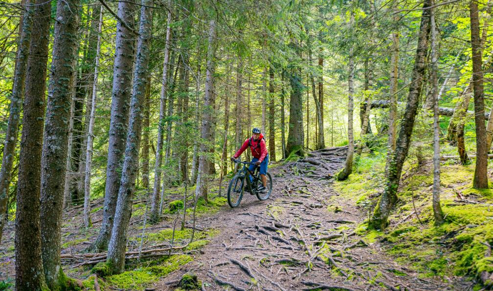 Grez - Nacho - Du lac d'Annecy à Chamonix à vélo, descente en forêt, Alpes, France - Entre Beaufortain et Mont-Blanc en VTT électrique - 1