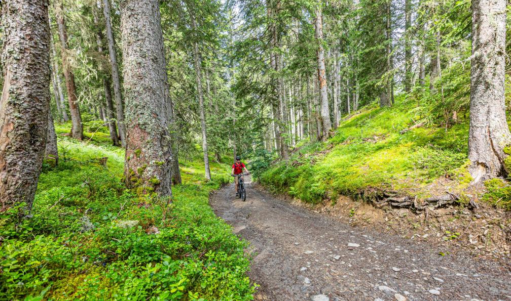 Grez - Nacho - Du lac d'Annecy à Chamonix à vélo, cycliste en forêt, Alpes, France
 - Entre Beaufortain et Mont-Blanc en VTT électrique - 3