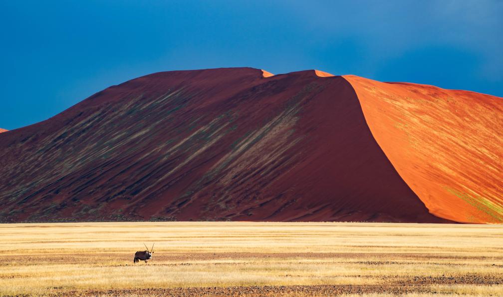 namibie-circuit-namibie-en-lodge
