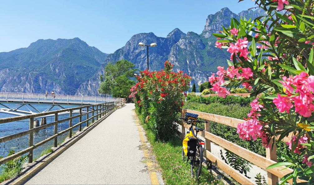 Eurfofun - Piste cyclable et fleurs qui longe le lac de Garde en Italie. - Le tour du lac de Garde à vélo - 5