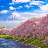 circuit japon 10 jours