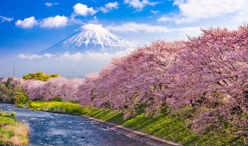 japon-circuit-japon-10-jours