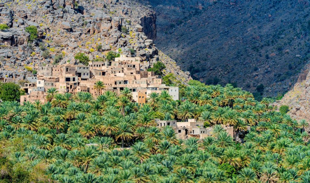 Luis - Adobe stock - Village de Misfat Al Abriyeen dans les montagnes, entre roches et palmiers, Oman - Oman : les trésors de Sindbad - 6