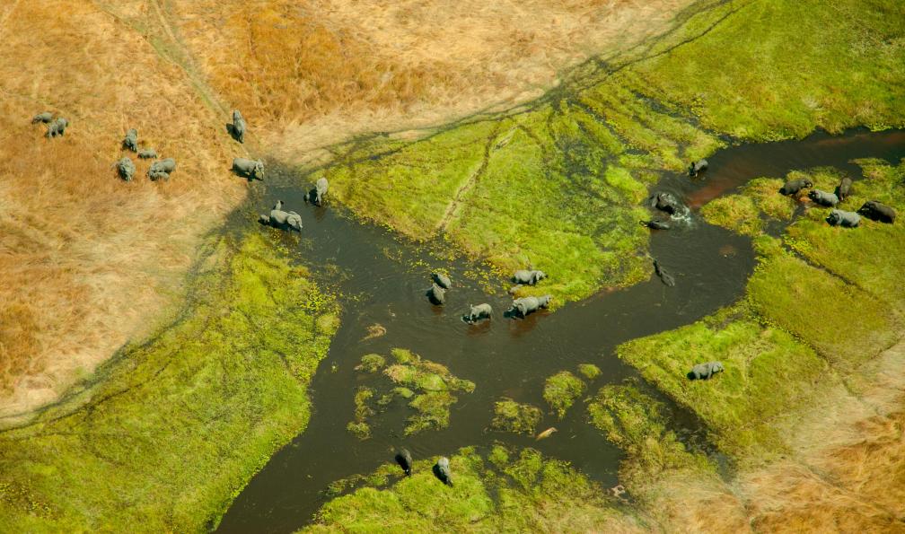 botswana-voyage-okavango