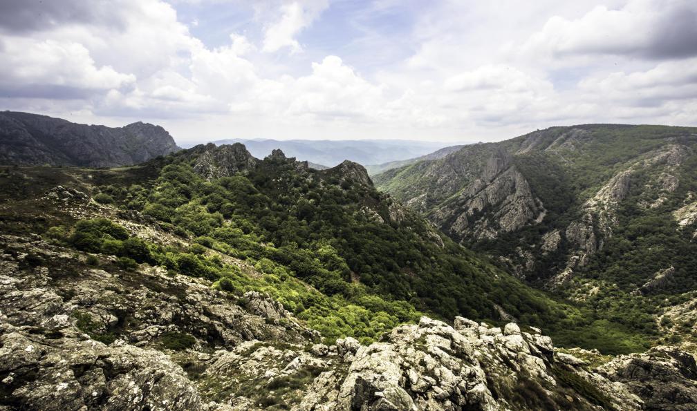 Martindale -  Jonathan  -  Istock -  Massifs du Caroux et de l'Espinouse, Massif central, réserve naturelle du Haut-Languedoc. - Du lac de Salagou au Caroux - 2