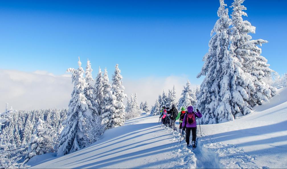 Le massif de Chartreuse à raquettes
