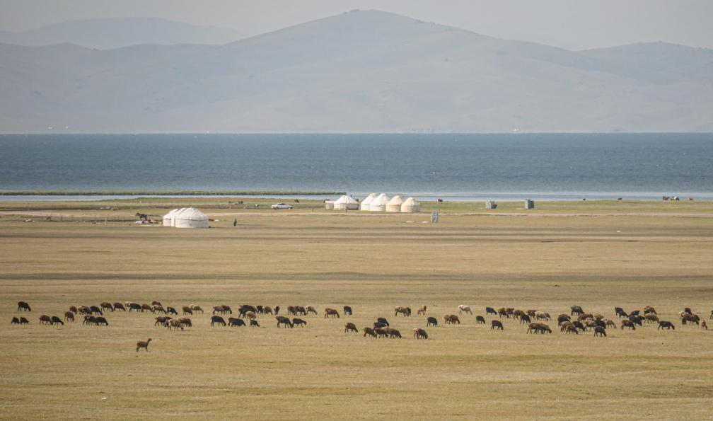 Collignon - Yoan - Yourtes et chevaux, lac Song Kul, Kirghizistan - La Soie des cités, la steppe des nomades - 6