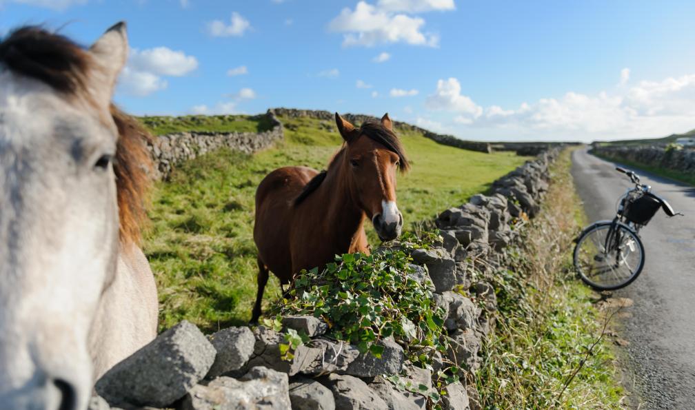 irlande-connemara-irlande-a-velo