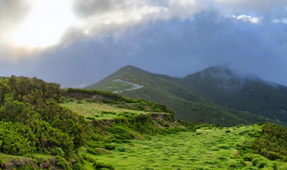 CCat82  -  Shutterstock -  Plateaux de Paul da Serra;Madère, Portugal - Madère, Douceurs océanes - 6