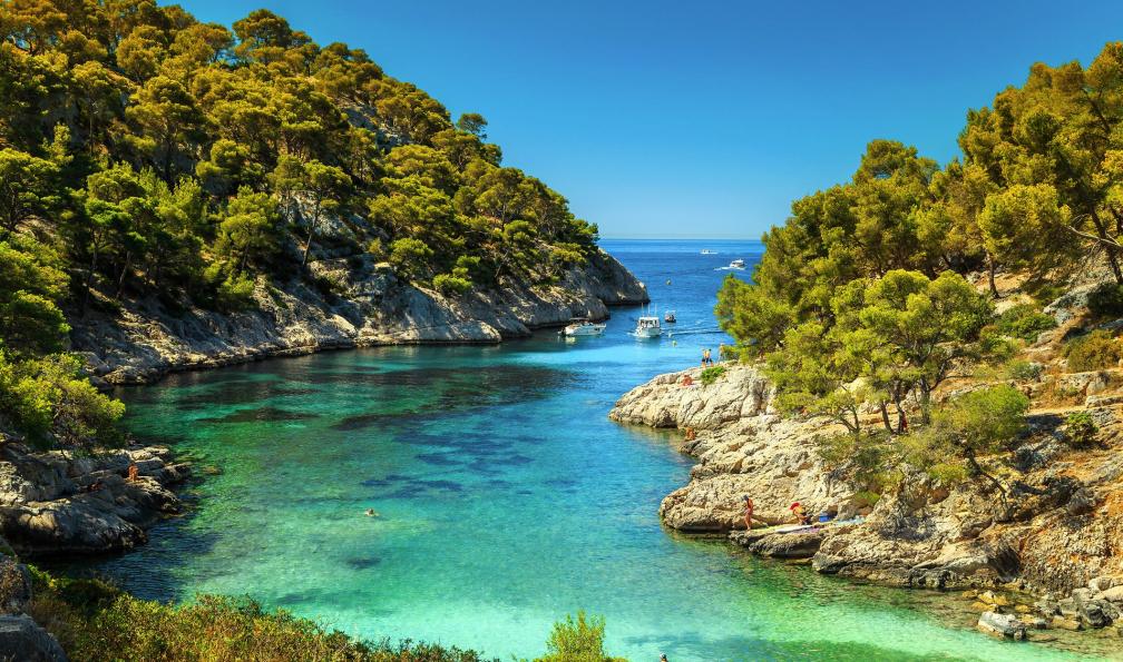 Janoka82 -  istock -  Calanques De Port Pin à Cassis, France - Calanques de Cassis et Côte Bleue - 4