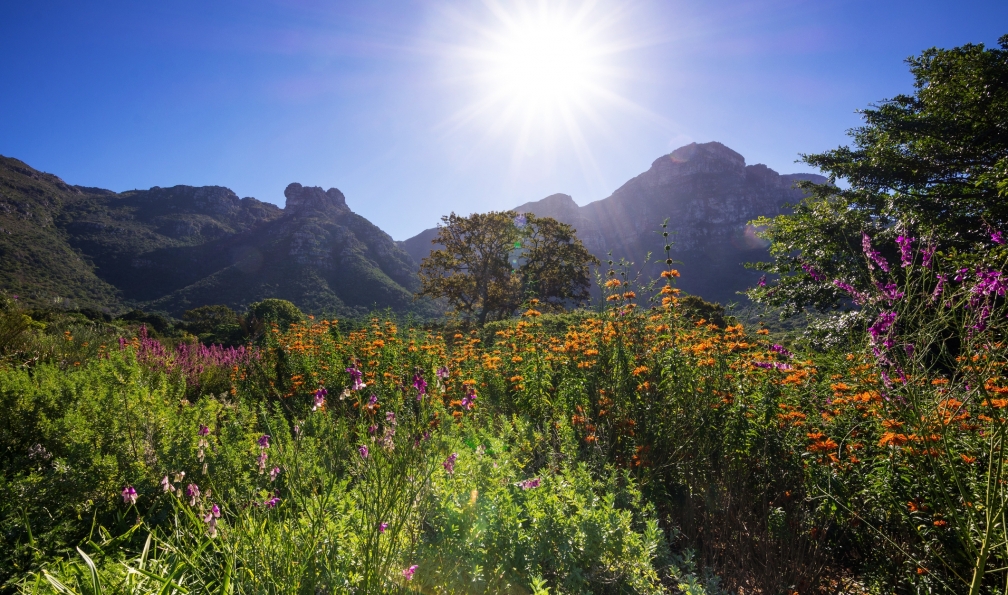 Image Contrastes sud-africains