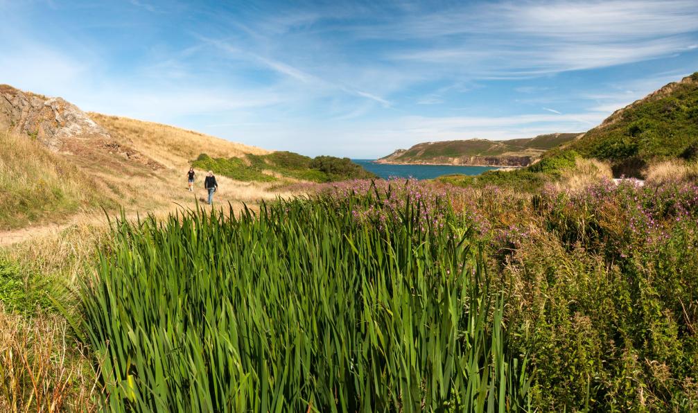 Magherini - Olivier - Adobe Stock - Randonneur dans la Baie d'Ecalgrain, Normandie, France - La Presqu'île du Cotentin - 3