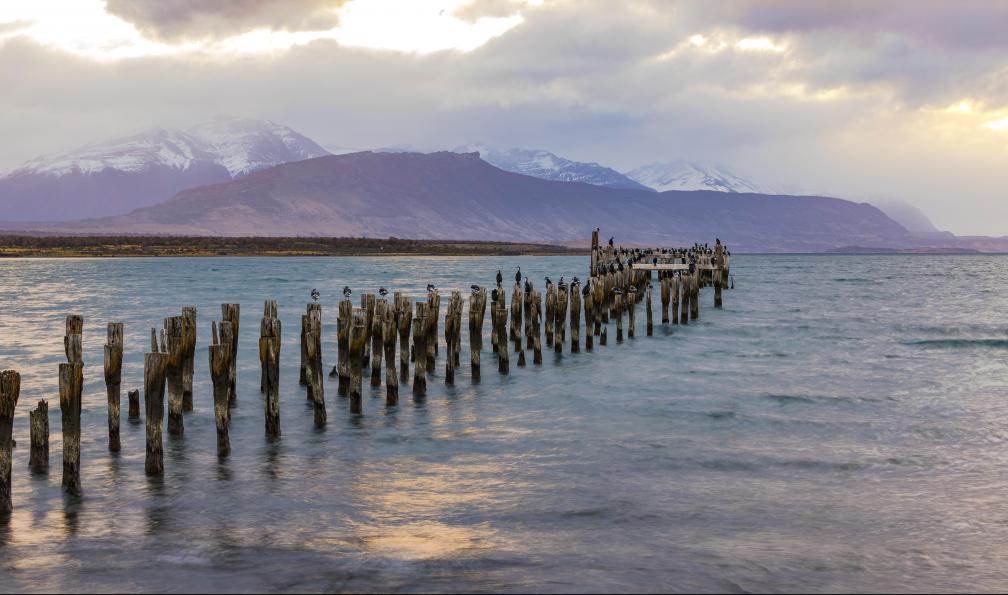 reisezielinfo - Adobe stock - L'ancienne jetée de la ville portuaire de Puerto Natales, dans le sud du Chili - Ushuaia et les géants de Patagonie - 7