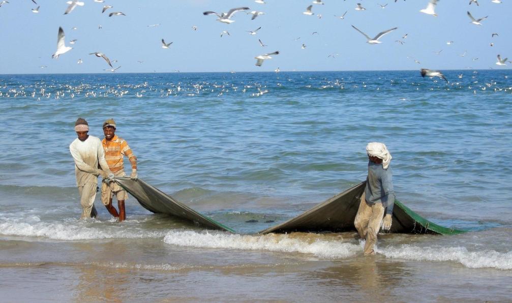 PublicDomainPictures - Pixabay - Pécheurs à Khalouf en Oman. - Escapade omanaise - 8