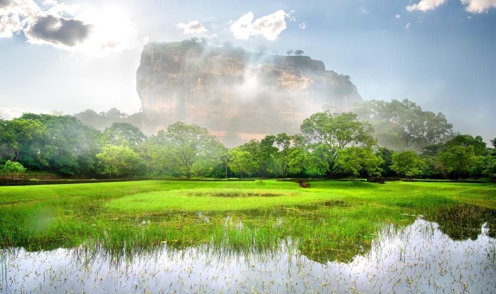 Givaga - Adobe Stock - Le Rocher du Lion vue des rizières, Sri Lanka - Chemins d'été au Sri Lanka - 4