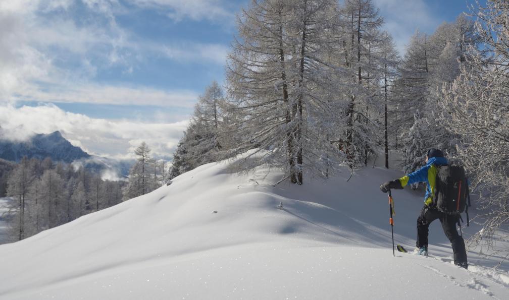 Mazet - Philippe - Skieur allant au col d'Urine, Valpreveyre, Queyras, Alpes, France - Le meilleur du Queyras à ski - 5