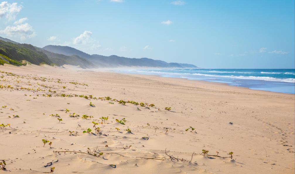Gunter - Adobe stock - Plage de Cape Vidal, parc St Lucia, parc de la zone humide d'isimangaliso, Kwazulu-Natal, Afrique du Sud - Les montagnes du Dragon - 11