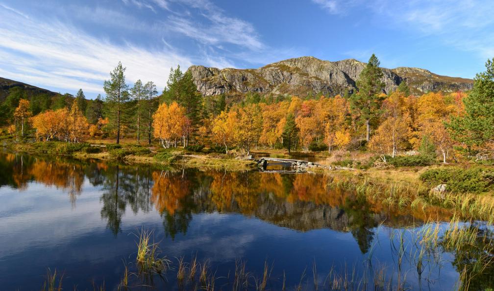 Trek - Multi-activités en Norvège : objectif animaux