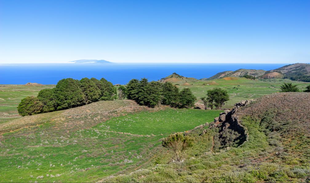 Schneider - Robert - stock.adobe.com - Paysage sur le plateau central de Meseta de Nisdafe, à lhorizon lîle de La Palma, El Hierro, Canaries, Espagne - El Hierro, île préservée - 8