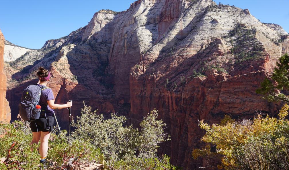 Desplanches - Elise - Randonneuse regardant la vue depuis le point de vue depuis Scout Lookout, Parc National de Zion, Utah, USA - Les parcs mythiques de l'Ouest Américain - 5