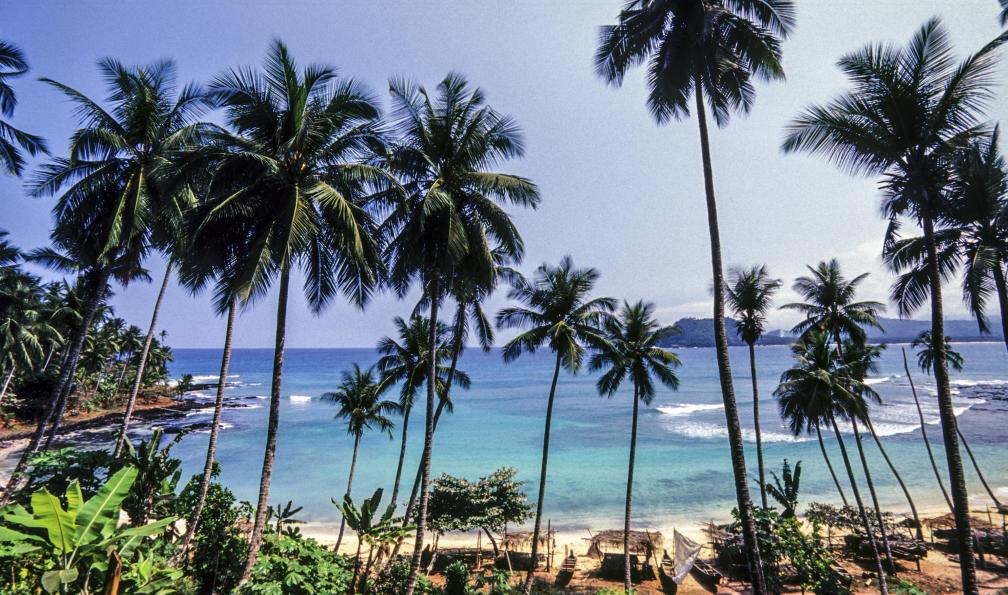 Istock -  Palmiers et mer, Sao Tomé e Principe. - L'île cacao - 1