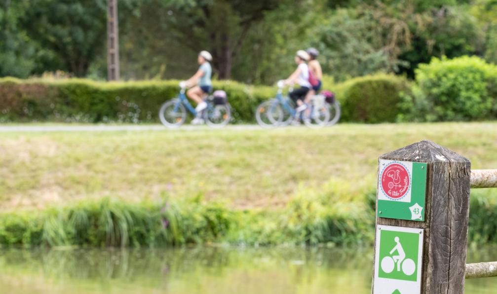 InstapadesStudio - Anjou tourisme - Près du village de Bazoin, Vendée, France - La Vélo Francette en famille à vélo - 4
