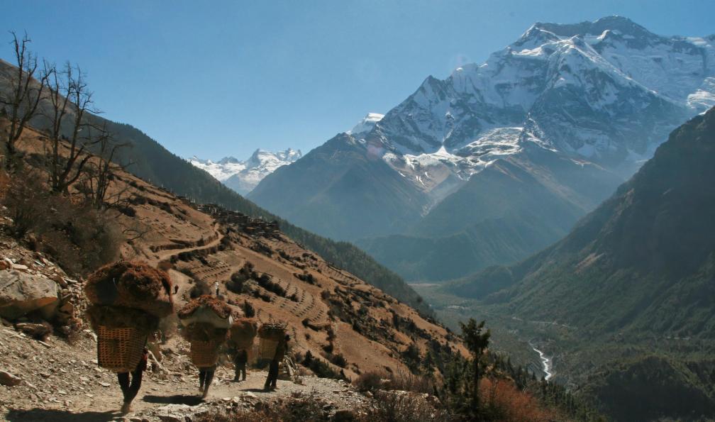 Porteurs, Annapurnas II et IV, Népal. - Le grand tour des Annapurnas - 2