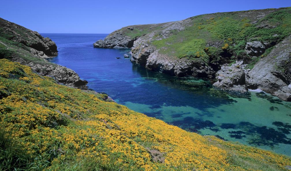 Fotolia -  Crique à Belle-Ile-en-Mer, Bretagne, France. - Belle-île-en-Mer en étoile - 7