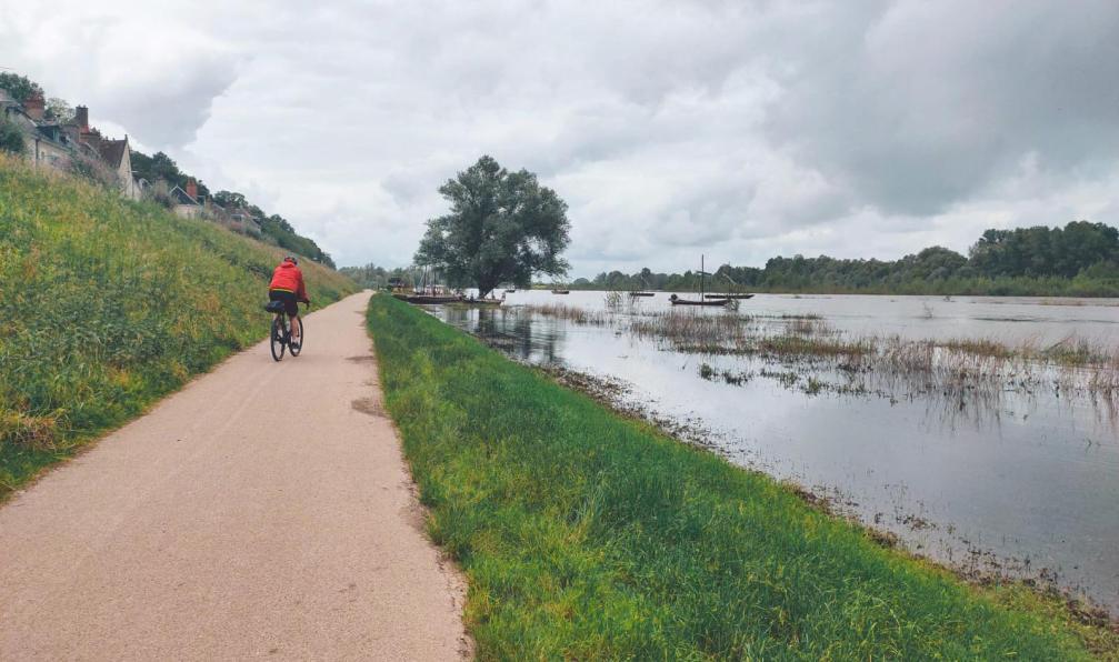 Trotel - Clément - Cycliste sur les bords de la Loire, Loire, France - L'essentiel des châteaux de la Loire à vélo - 4