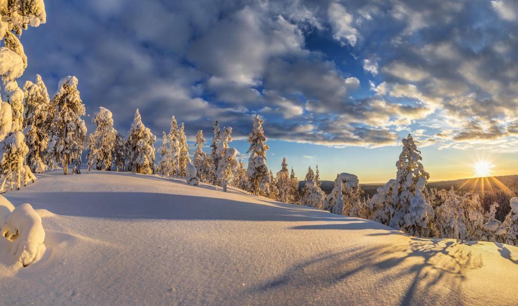 lightpix -  Istock -  Crépuscule sur la forêt enneigée en Laponie;Finlande - Multi-activités nordiques - 1