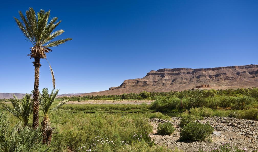 Image Le petit prince