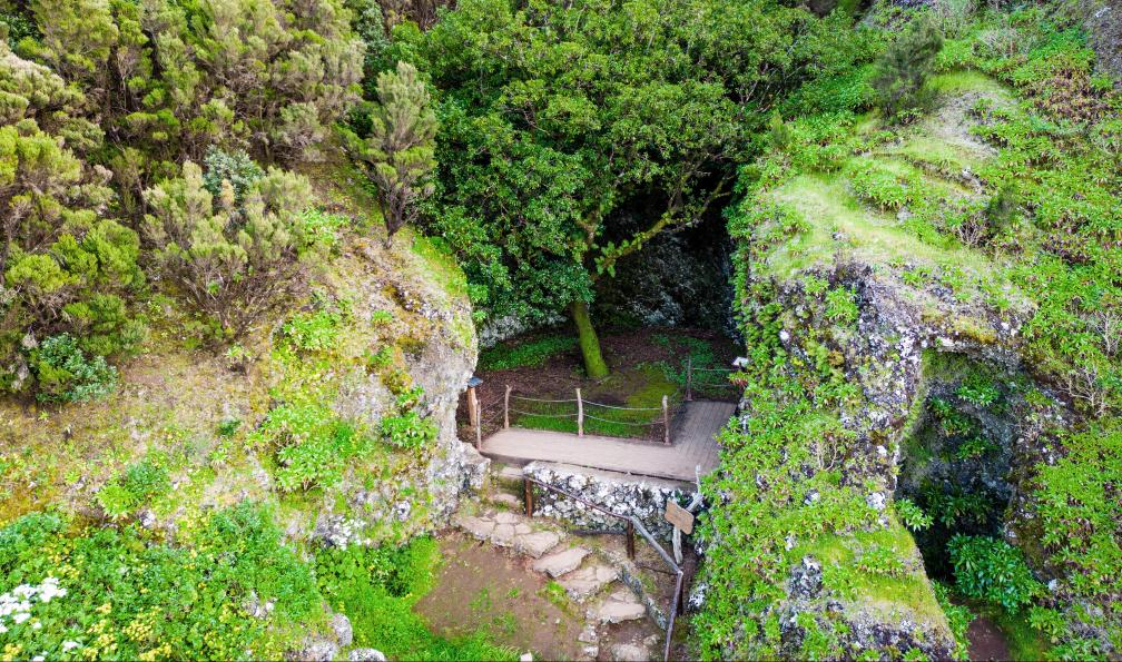 Curioso.Photography - stock.adobe.com - Vue aérienne de lArbre Sacré Garoe près de la Villa de Valverde sur lîle dEl Hierro, Canaries, Espagne - El Hierro, île préservée - 3
