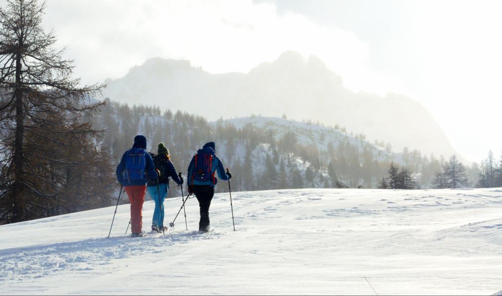 Pellequier - Lucie - Randonneurs vers le Grand Aréa, Clarée, Alpes, France - Clarée : hameaux et alpages enneigés - 2