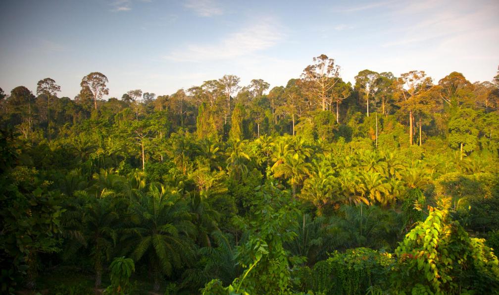 Image Mont kinabalu, toit de l'asie du sud-est