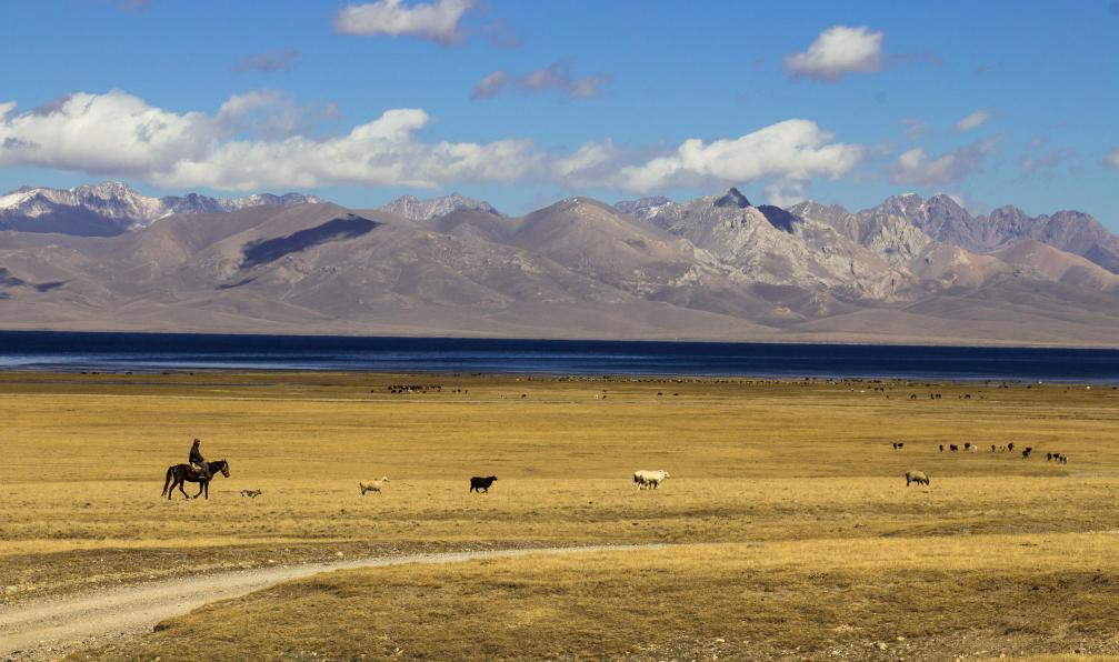 Ekaterina  -  Cratcha -  Shutterstock -  Berger sur son cheval au lac Song Kul;Kirghizstan - Odyssée sur la route de la soie - 8