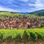 rando alsace vosges