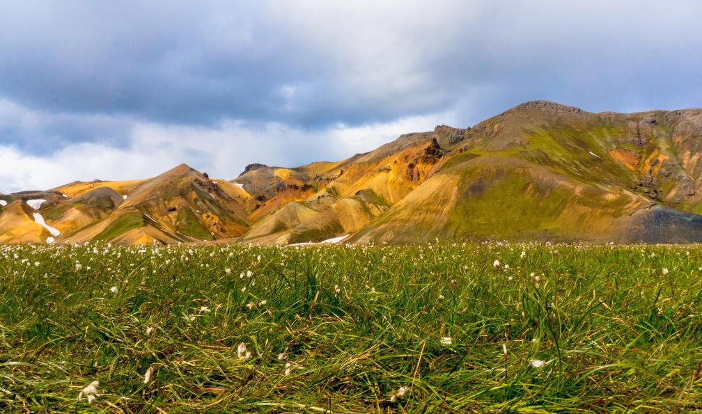 Arinbjorn Hauksson/Icelandic Mountain Guide -  Linaigrettes et collines de Landmannalaugar, Islande. - Mythique trek du Laugavegur et Côte Sud - 5