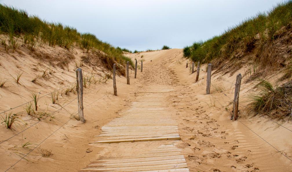 memory87 - Adobe Stock - Dunes de Biville, Cotentin, France - La Presqu'île du Cotentin - 4