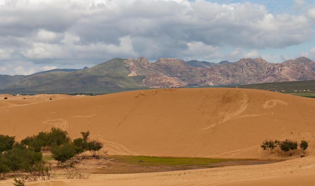 Gwengoat -  Istock -  Elsen Tasarkhai,mini Gobi; Mongolie - Dunes et steppes mongoles - 5