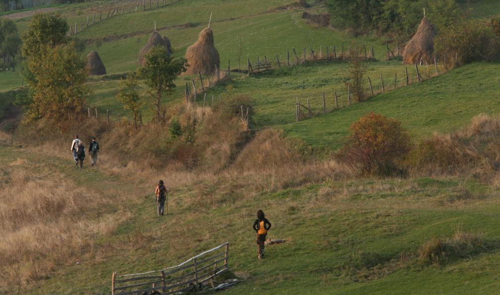 En randonnée dans les Carpates. - Sur les sentiers des Carpates de Transylvanie - 5
