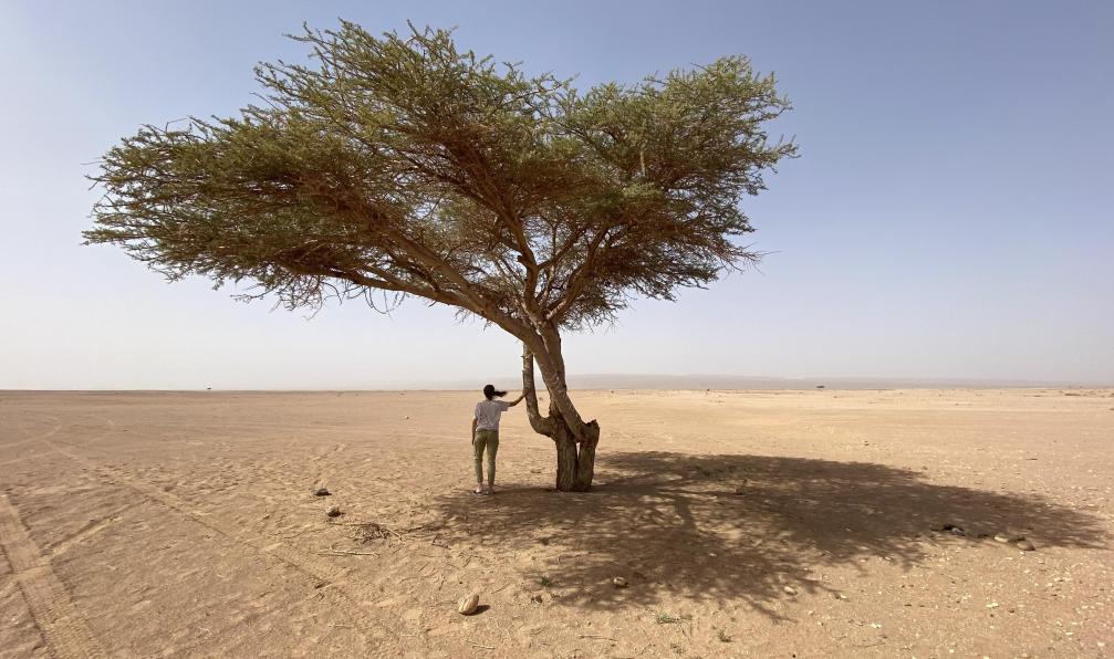 Alexandre Brean -  Désert vers m Hamid, Maroc - Sables infinis - 7