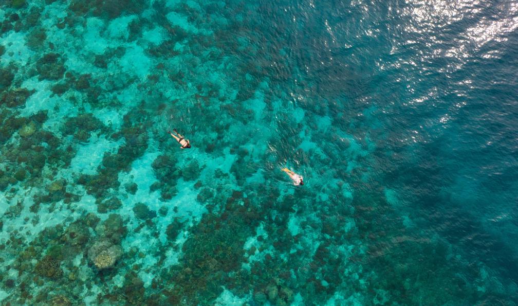 Crétois - Chloé - Vue drone de deux nageurs en snorkeling  - Du Kawah Ijen aux raies Mantas - 3