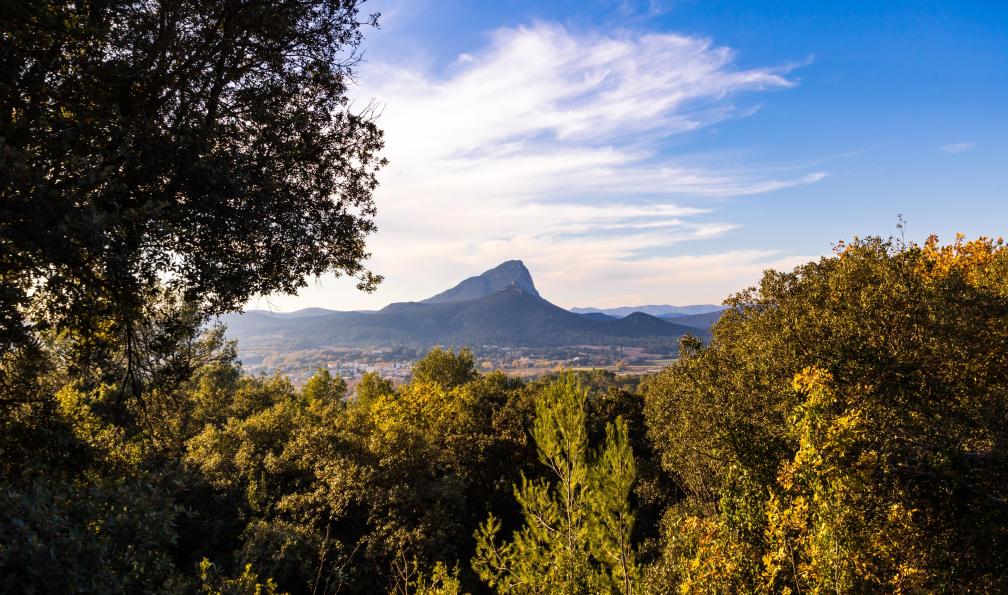 Ludwig Deguffroy -  Istock -  Vue du Pic Saint-Loup à travers la végétation depuis la garrigue (Occitanie, France) - Cévennes, Navacelles et Saint Guilhem - 9