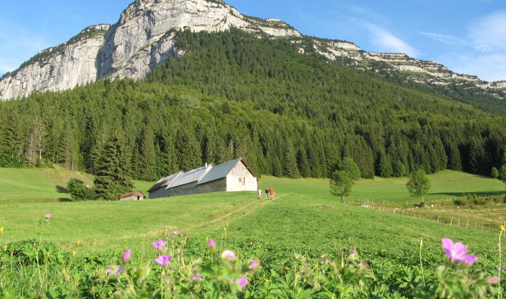 Pinet, Entremonts, Chartreuse, Alpes France. - L'essentiel de la Chartreuse - 1