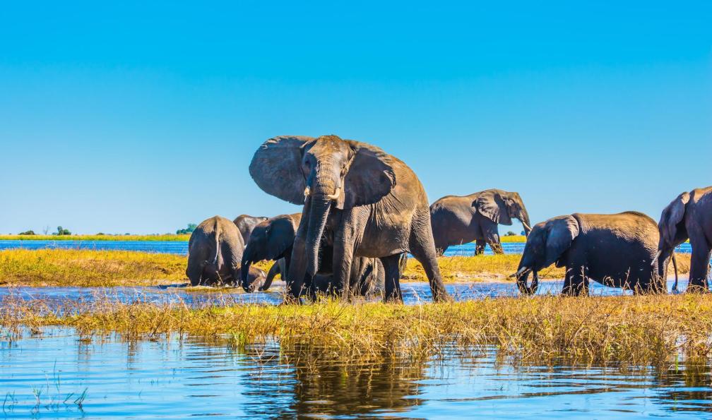 namibie-voyage-en-afrique-australe