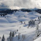 randonnée raquette jura