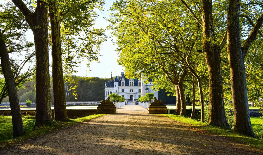 axp-photography - Unsplash - Allée d'arbres au château de Chenonceau, Loire, France - De Tours à Angers, à vélo au fil de la Loire - 1