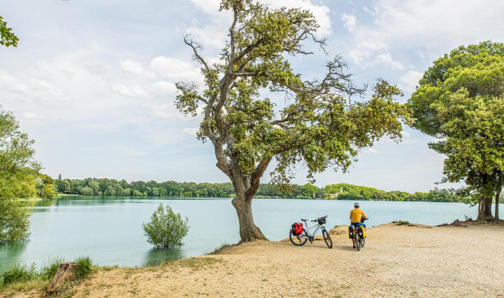 Grez - Nacho - A vélo devant le plan d'eau de la Bonde, dans le Lubéron - Les charmes du Luberon à vélo - 5