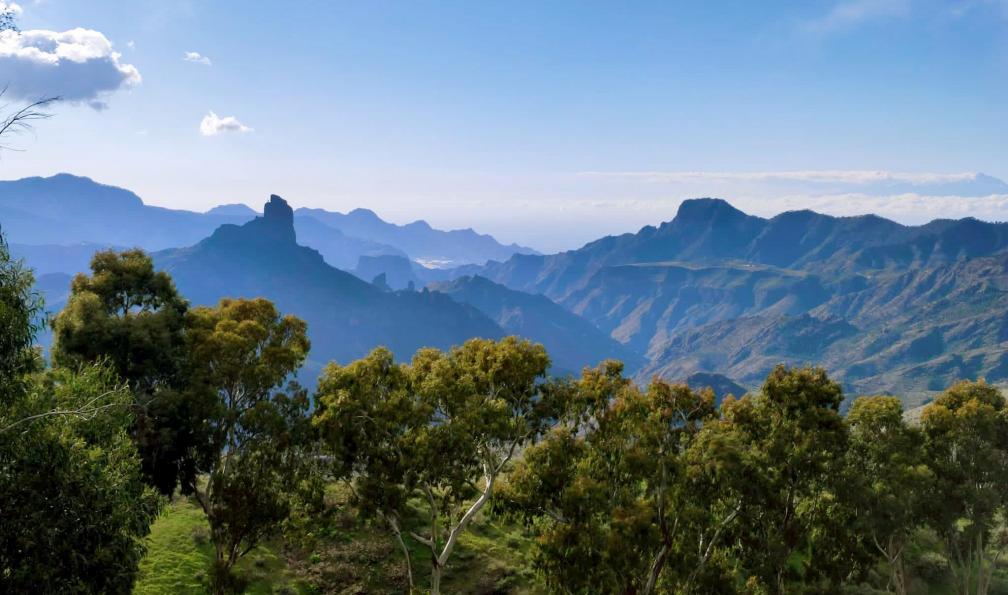 Mandou -  Alicia -  Roque Nublo, Gran Canaria - Les richesses de Gran Canaria - 1
