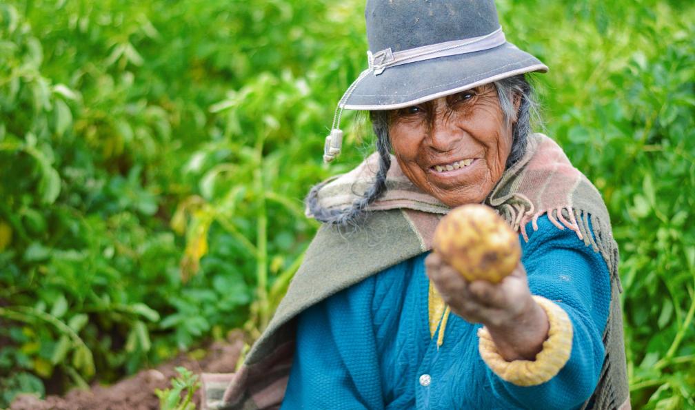 Ruslana Iurchenko -  Shutterstock -  Old native american woman wearing authentic aymara clothes and showing fresh potato - Aventures équatoriennes - 9